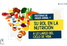 Proteínas de origen animal y su rol en la nutrición a lo largo del ciclo de vida