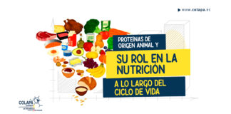Proteínas de origen animal y su rol en la nutrición a lo largo del ciclo de vida