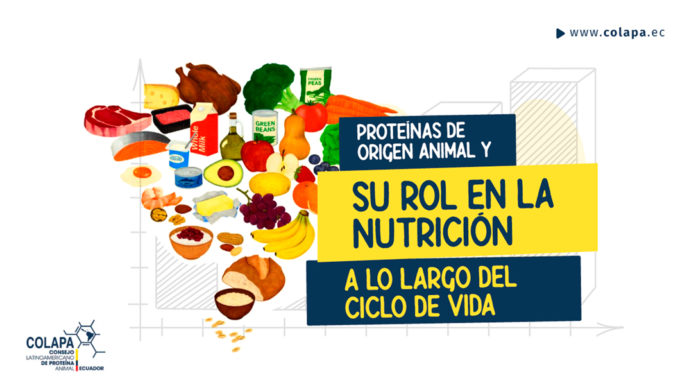 Proteínas de origen animal y su rol en la nutrición a lo largo del ciclo de vida