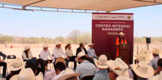 Sonora tendrá un Centro Integral Ganadero para dar valor agregado a la carne