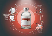 La importancia de la correcta formulación en la elaboración de antibióticos veterinarios
