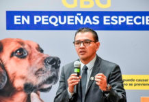 Fortalece AGRICULTURA acciones para prevenir y tratar casos de gusano barrenador en la Ciudad de México