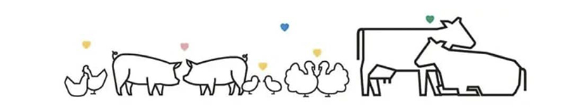 7 Formas en que los ciclos de luz mejoran la salud animal y aumentan la productividad 7 FORMAS EN QUE LOS CICLOS DE hato lighting 3