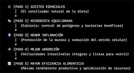 Aceites esenciales: más allá de la salud intestinal Aceites esenciales salud intestinal 7