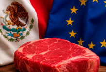 Europa es una Oportunidad de Valor, No de Volumen: ANETIF