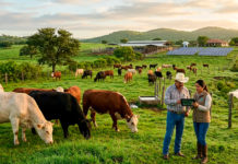 Ganadería sostenible en México: Ciencia, resiliencia y talento para transformar el futuro del campo