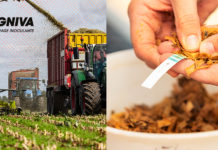 Lallemand Animal Nutrition lanza MAGNIVA® Platinum para los productores mexicanos