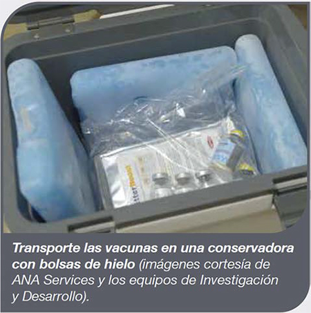 Mejores prácticas en la granja: vacunación por pulverización Mejores practicas granja vacunacion pulverizacion 4