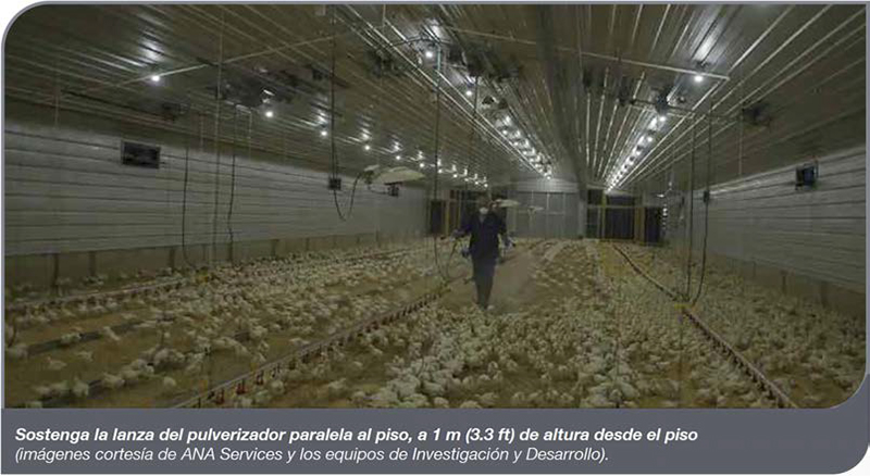 Mejores prácticas en la granja: vacunación por pulverización Mejores practicas granja vacunacion pulverizacion 9