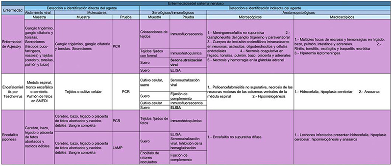 Principales lesiones de las enfermedades virales exóticas de cerdos Principales lesiones enfermedades virales exoticas cerdos9