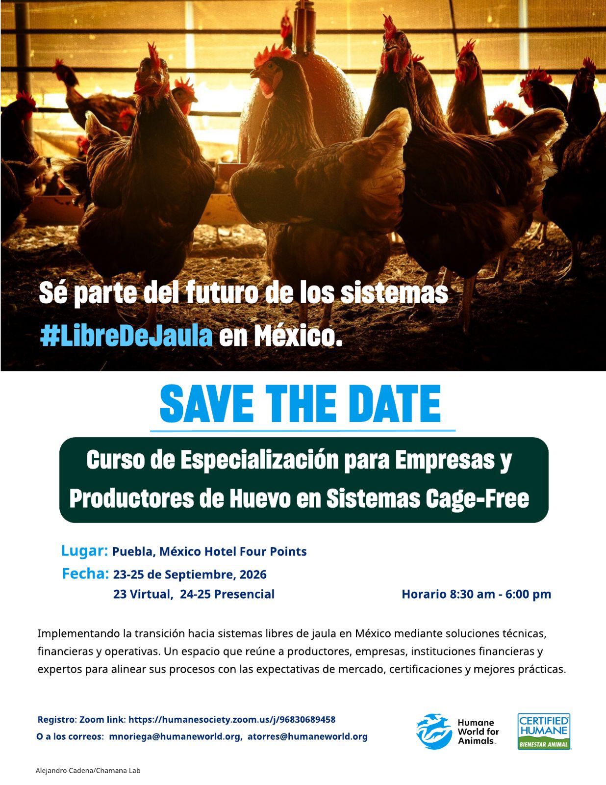 El futuro de los sistemas "libre de jaula" en México STD produccion de huevo