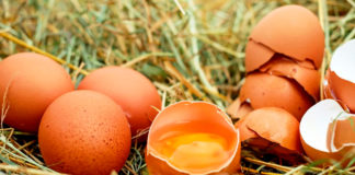 El huevo: un alimento esencial con alto valor biológico