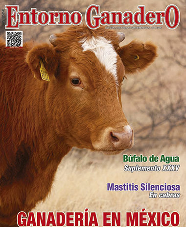Ganaderia EG 4 AGO SEP 26 1