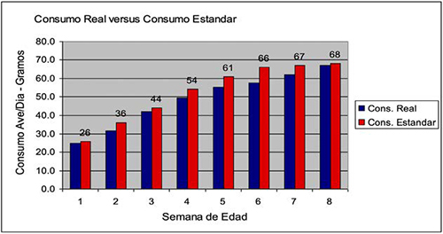 Etapa de crianza machos de reposición Etapa crianza machos reposicion 2