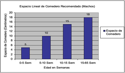 Etapa de crianza machos de reposición Etapa crianza machos reposicion 4