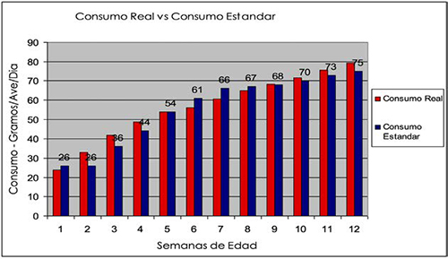 Etapa de crianza machos de reposición Etapa crianza machos reposicion 6