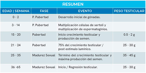 Etapa de crianza machos de reposición Etapa crianza machos reposicion 7
