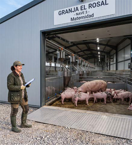 TULA FLUX-D®: una estrategia integral para el manejo del Complejo Respiratorio Porcino TULA FLUX D 3