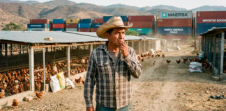 Importaciones de pechuga de pollo deshuesada de Brasil amenazan empleo, inversión y desarrollo rural en México: UNA