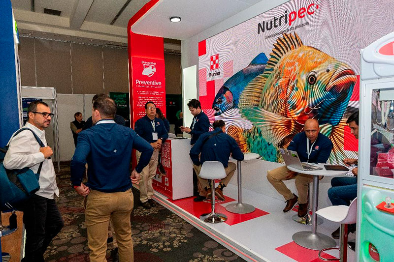 Cargill ANH presenta la nueva generación de Nutripec™ para impulsar la acuicultura en México Cargill Nutripec 1