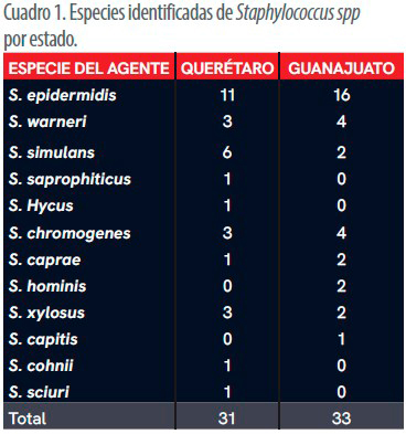 Mastitis silenciosa Mastitis silenciosa 2