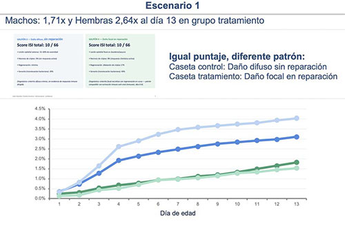 Modulación ontogénica e inmunometabólica en pollo de engorda Modulacion ontogenica inmunometabolica en pollo engorda 4
