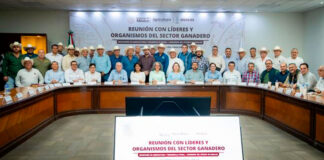 Sanidad que sostiene: Sinaloa y la reconstrucción de la certeza ganadera