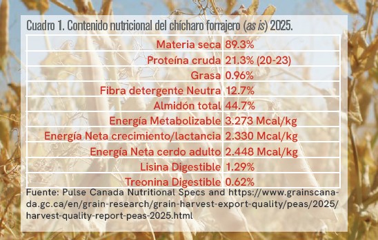 El chícharo forrajero en la alimentación de cerdos en México chicharo forrajero 1