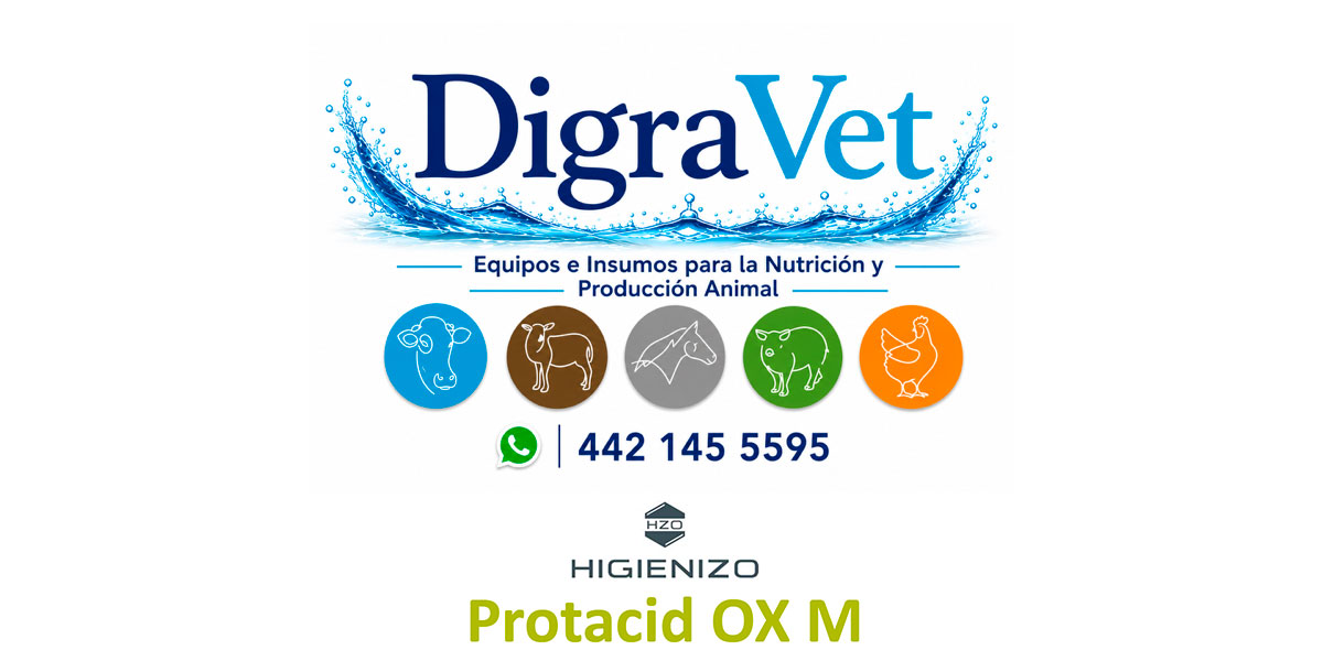 Maximiza la rentabilidad de tu granja: El poder de la acidificación controlada del agua de bebida FDVMk6La digravet