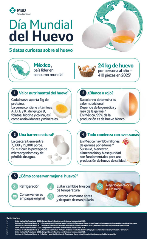 Cinco datos que cambian la forma de mirar un huevo Infografia Huevo msd