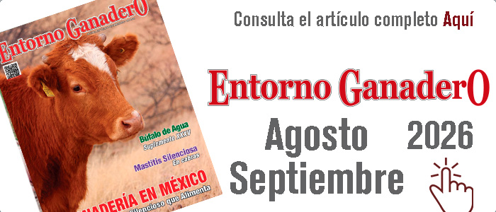 Descripción