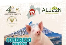 XXIV Congreso Anual AMVEC Estado de México Category Template 1 amvec edom