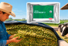 Lallemand lanza MAGNIVA® Platinum para productores mexicanos
