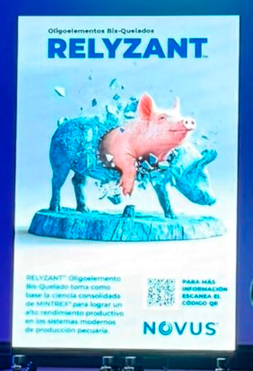 RELYZANT™ Oligoelementos Bis-Quelados: ampliar la plataforma para responder a una nutrición mineral más flexible relyzant